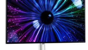 LCD Monitor|DELL|U2424HE|23.8"|Panel IPS|1920x1080|16:9|120Hz|Matte|8 ms|Swivel|Pivot|Height adjustable|Tilt|210-BKJF