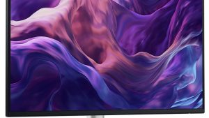 LCD Monitor|DELL|P2425|24"|Business|Panel IPS|1920x1200|16:10|100Hz|Matte|8 ms|Swivel|Pivot|Height adjustable|Tilt|210-BMJD