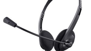 HEADSET BASICS/24659 TRUST