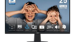 LCD Monitor|MSI|PRO MP251|24.5"|Business|Panel IPS|1920x1080|16:9|100 Hz|1 ms|Speakers|Colour Black|PROMP251